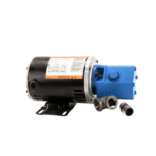 Filter Pump/Motor Assembly, 208/240V, 8Gpm