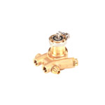 Pump Brass Rotary Vane 125 Gph